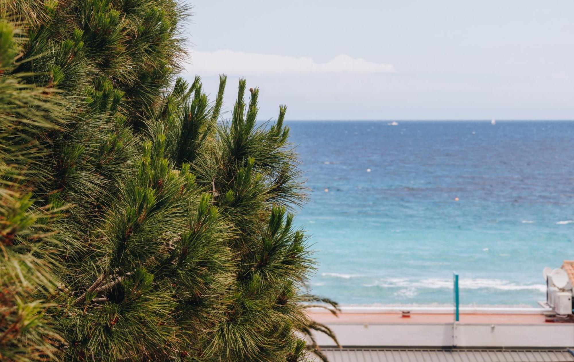 Hotel Liberata & Spa LʼÎle-Rousse 客房 照片
